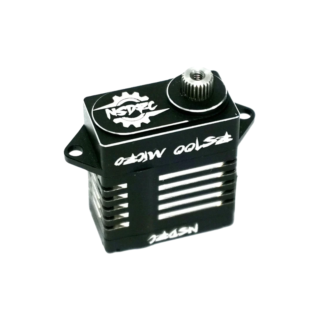 RS100 High Torque Micro Servo